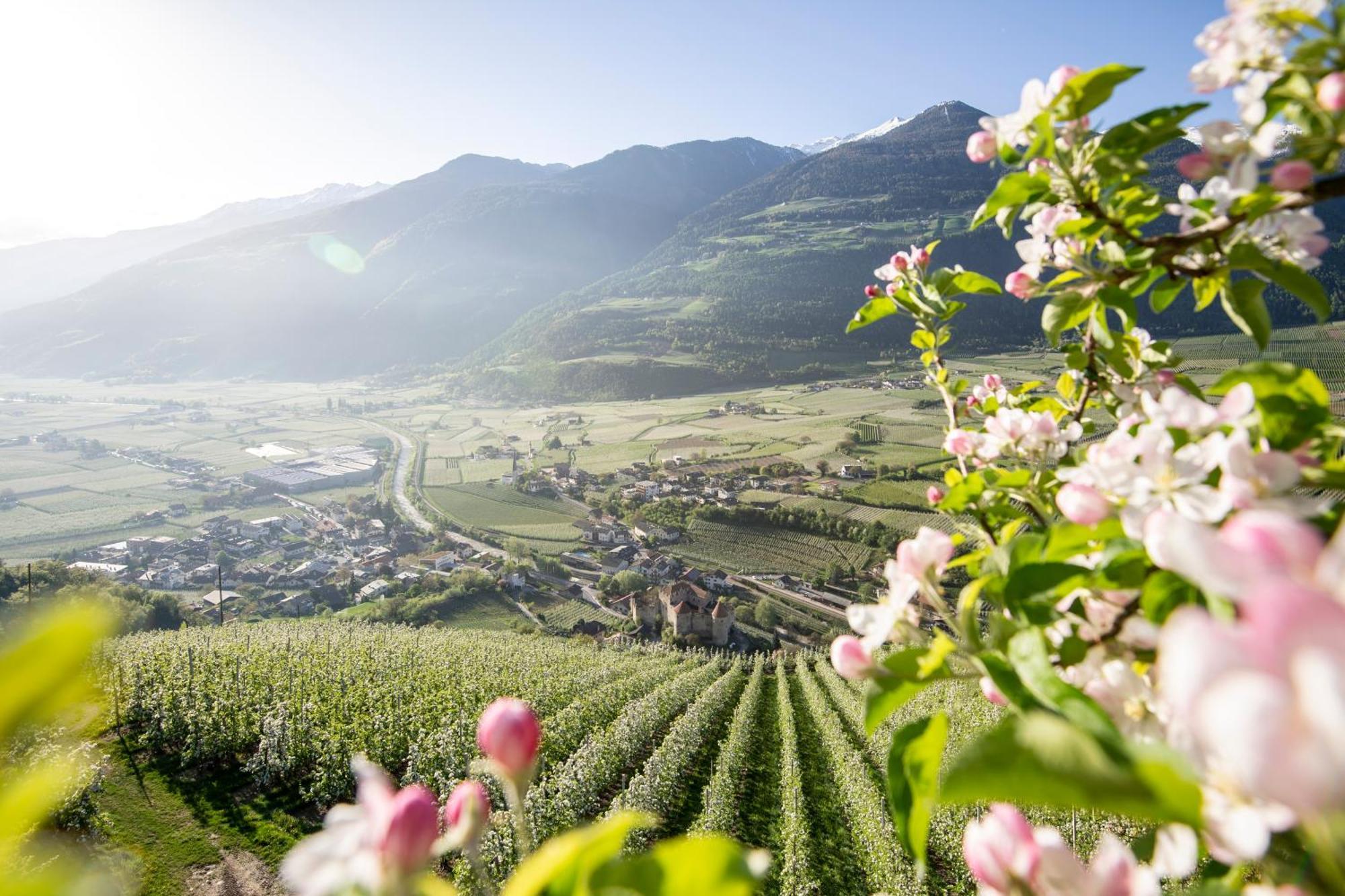Lindenhof Pure Luxury & Spa Dolcevita Resort Naturns Luaran gambar